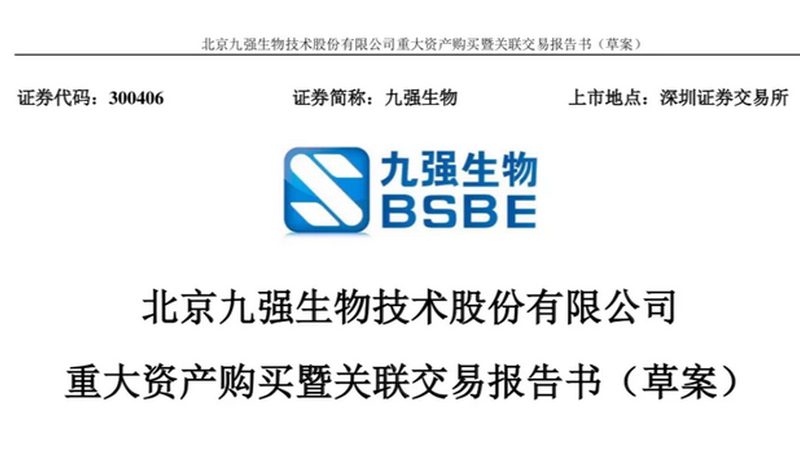 实时荧光PCR检测：流程解析与关键要点