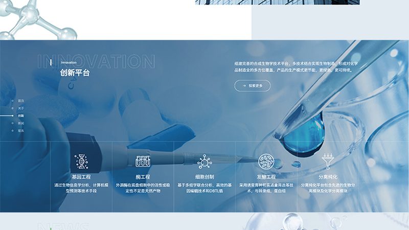 CDMO定制研发项目：揭秘医药创新背后的关键力量