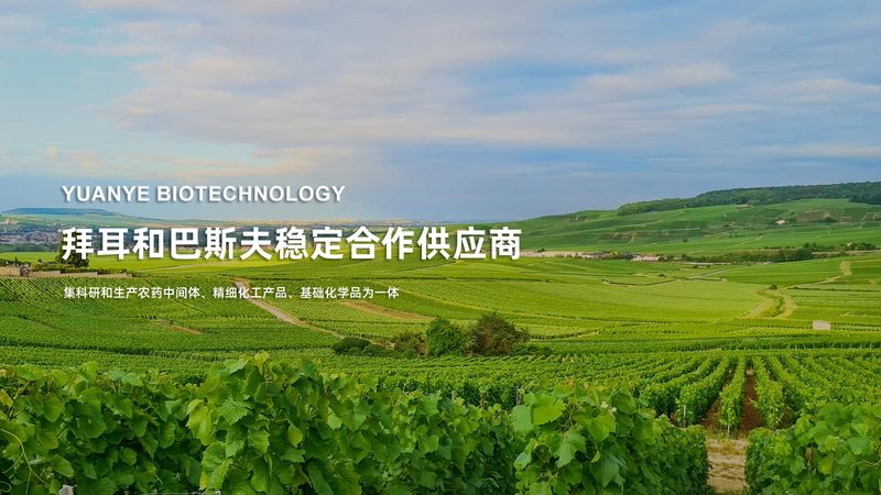 CRS与A/B测试：成本对比解析