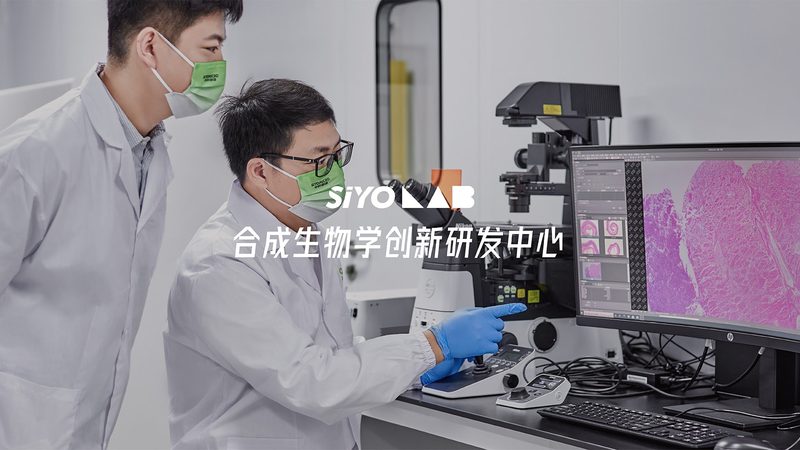 洗衣粉中的酶：揭秘清洁背后的科技力量**