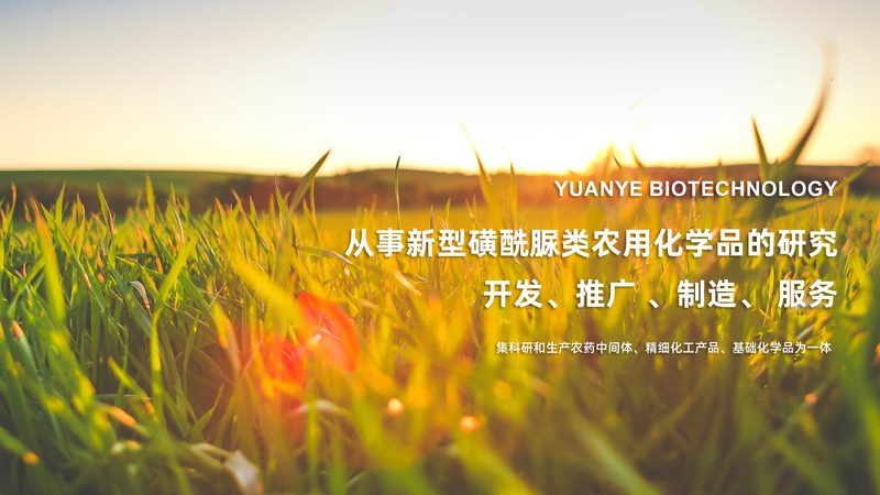 生物科技饲料原料：如何构建采购标准？**