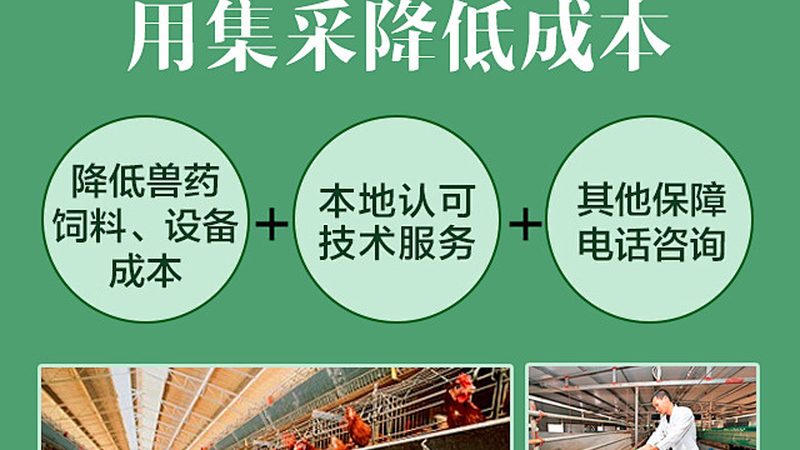 第三方诊断试剂代工工厂：揭秘其背后的工艺与选择要点**