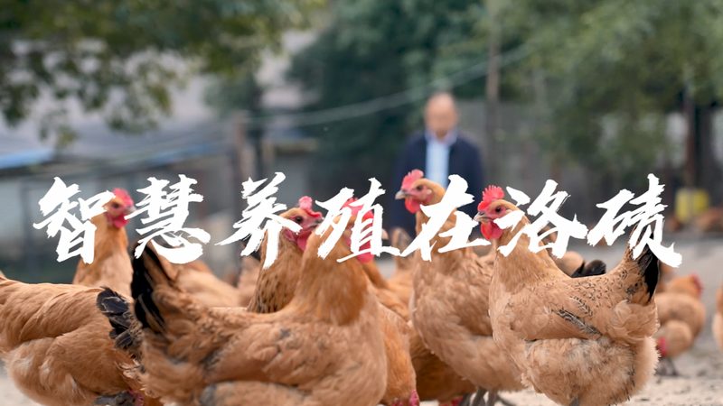 cro优化与用户体验权重分配