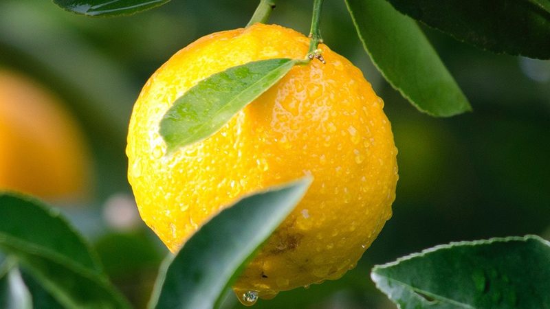 山西生物科技有限公司