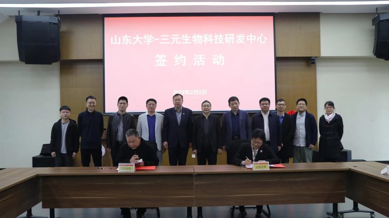 CDMO定制研发：揭秘药物研发的“幕后英雄
