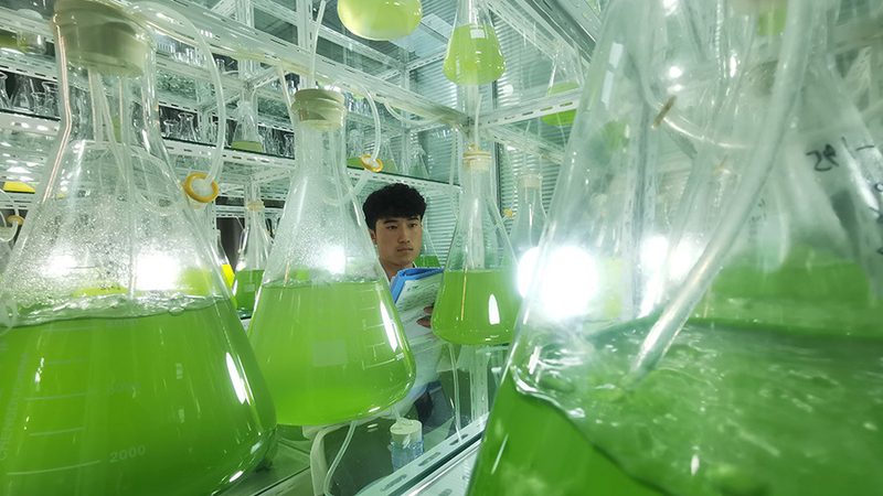 生物制品冷链运输：如何确保品质与合规性**